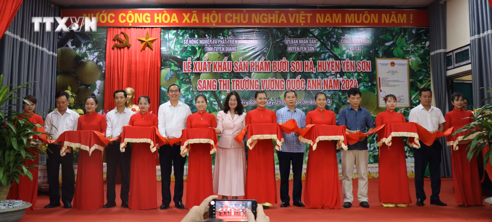 vna_potal_tuyen_quang_xuat_khau_san_pham_buoi_soi_ha_sang_thi_truong_vuong_quoc_anh_7670795.jpg