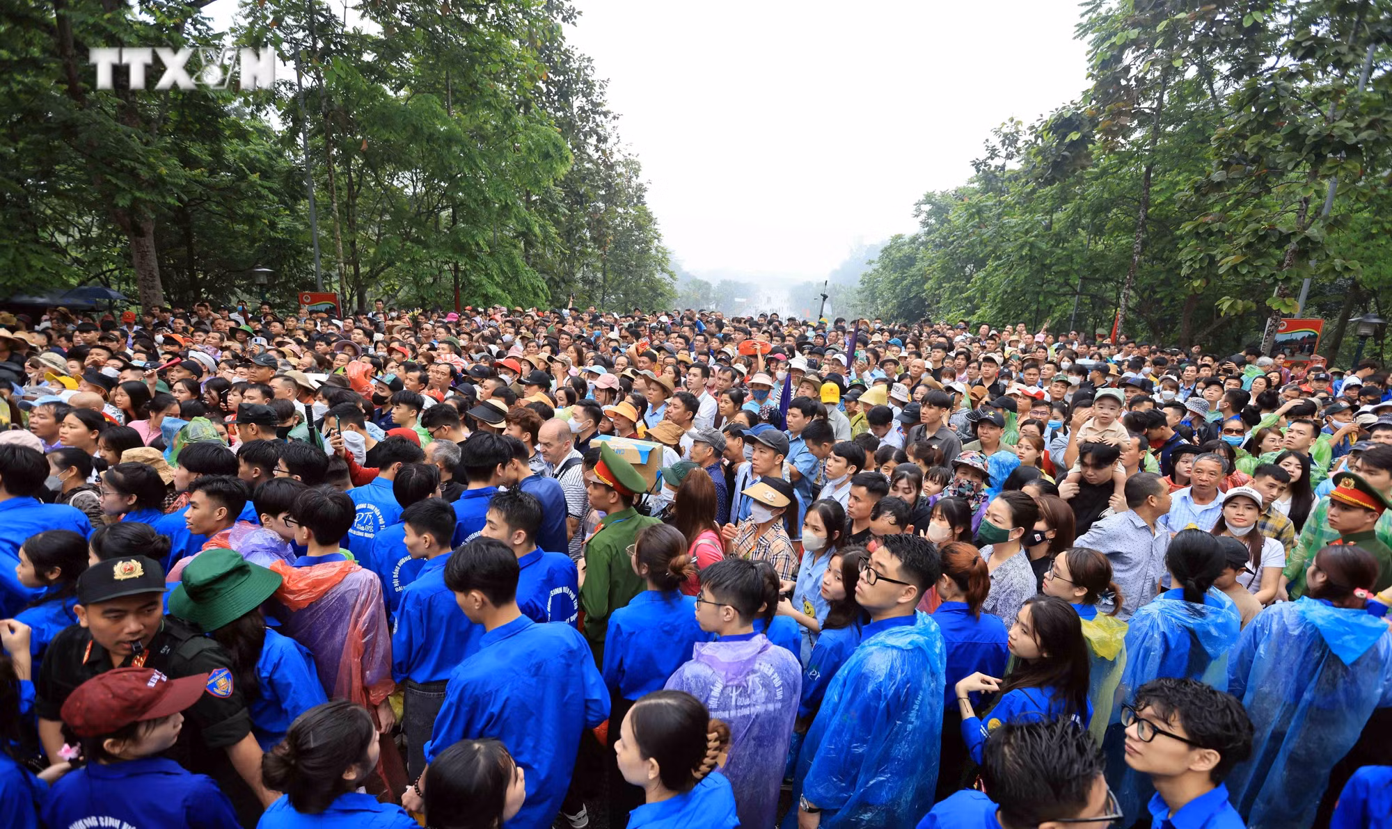 vna_potal__van_hoa_soi_duong_dang_huong_gio_to_hung_vuong_2024___7328727.jpg