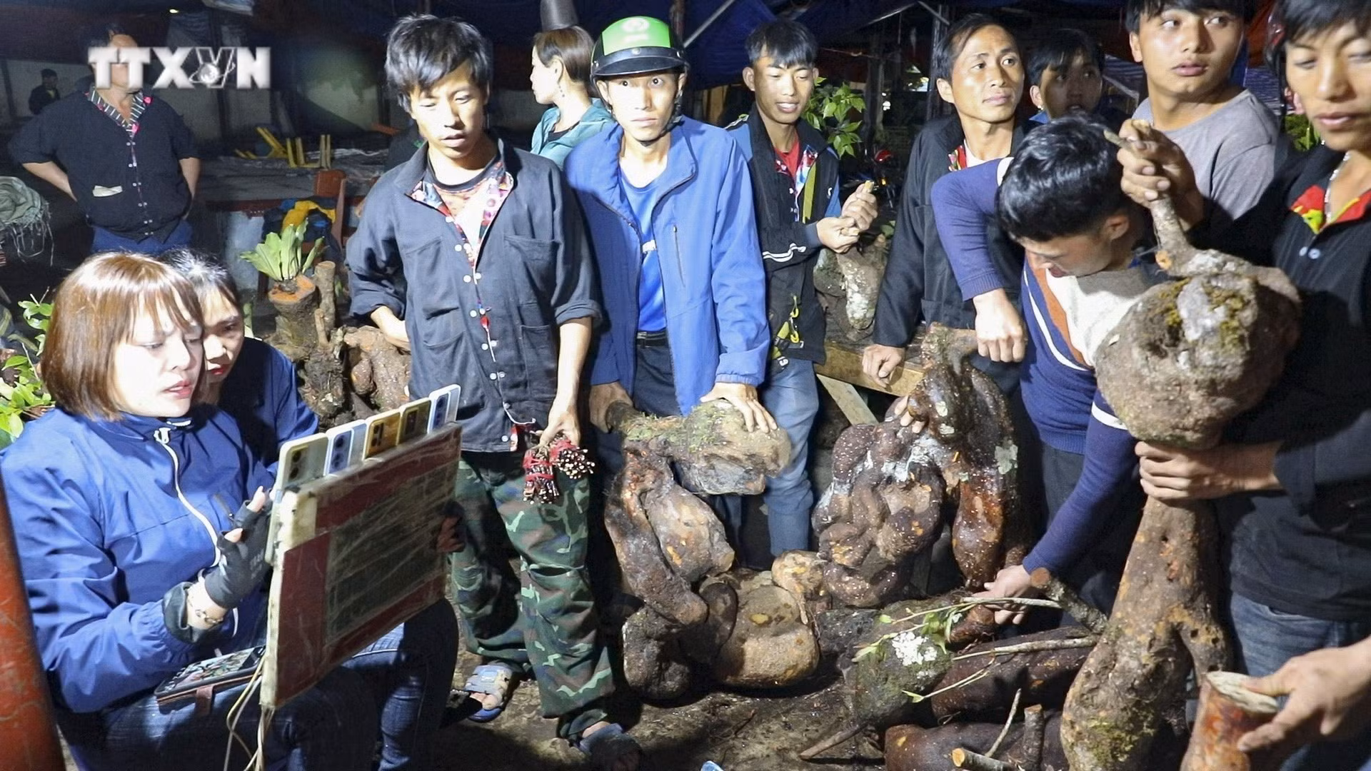 vna_potal_den_cho_dem_tua_chua_dien_bien_xem_nguoi_dan_livestream_ban_hang_7472179.jpg