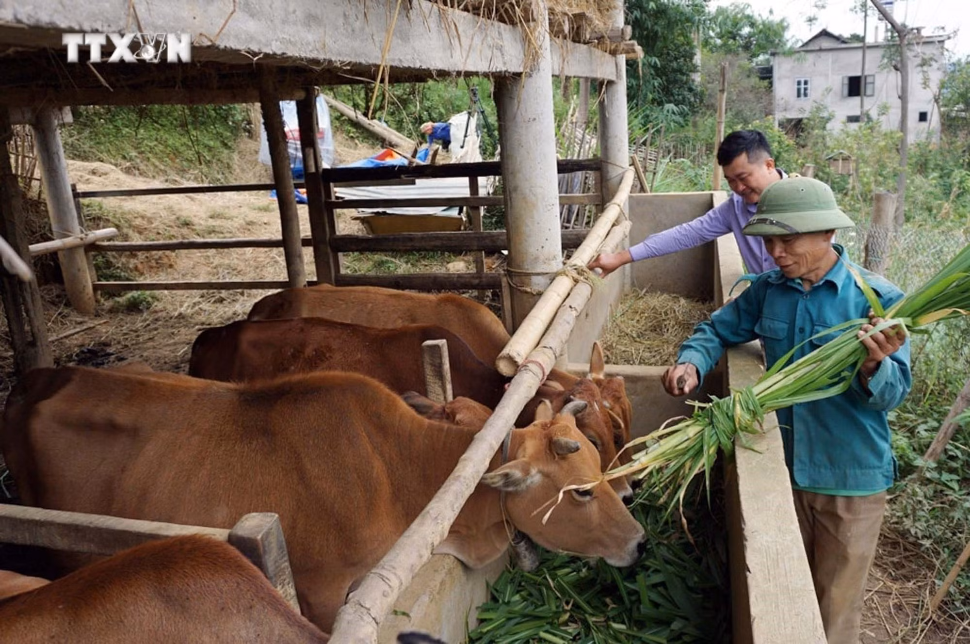 vna_potal_lai_chau_thuc_hien_hieu_qua_chinh_sach_giam_ngheo_7657820.jpg