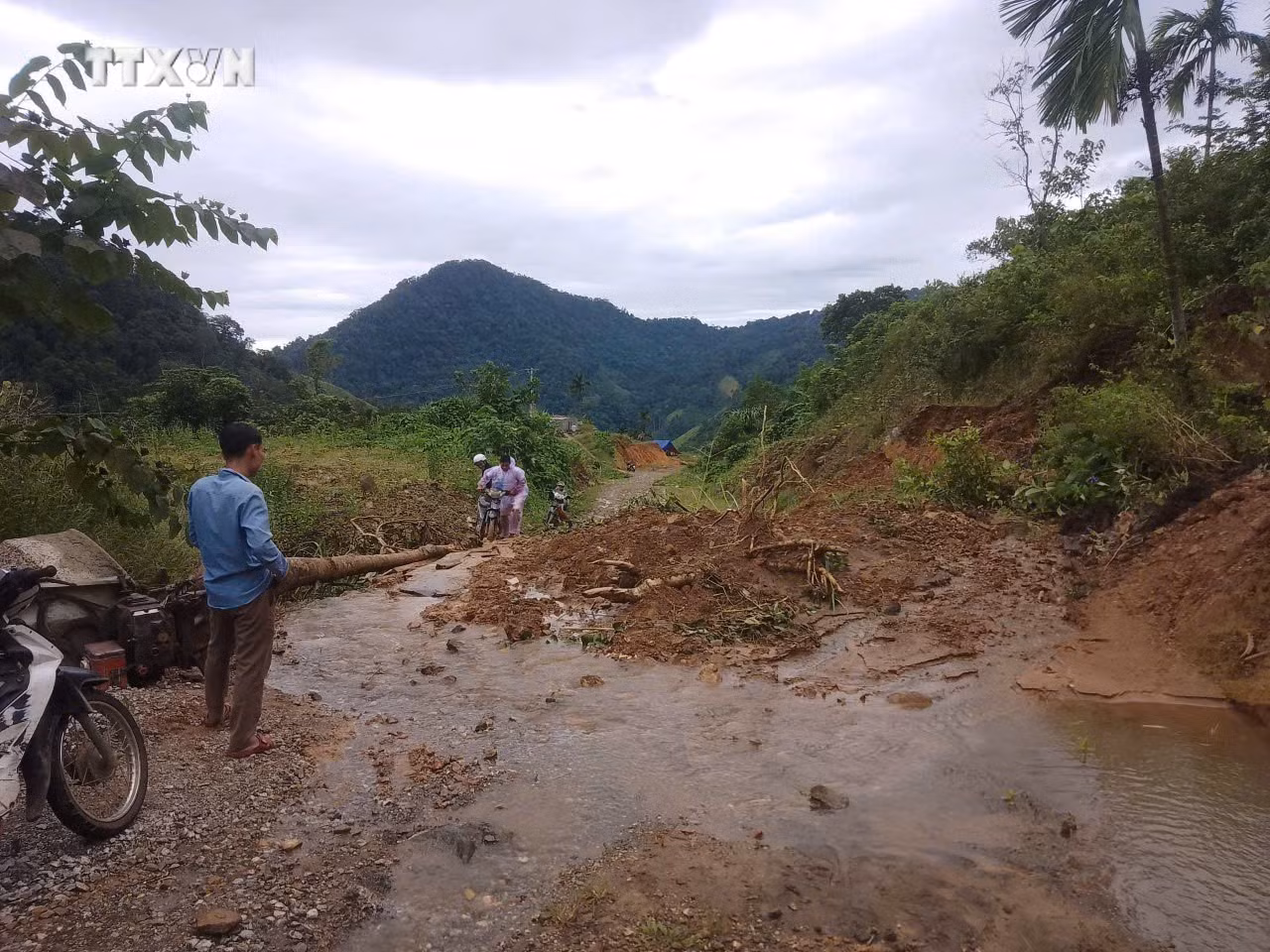 vna_potal_quang_nam_so_tan_va_on_dinh_cho_o_an_toan_cho_17_ho_gia_dinh_huyen_nam_tra_my__7605118 (1).jpg