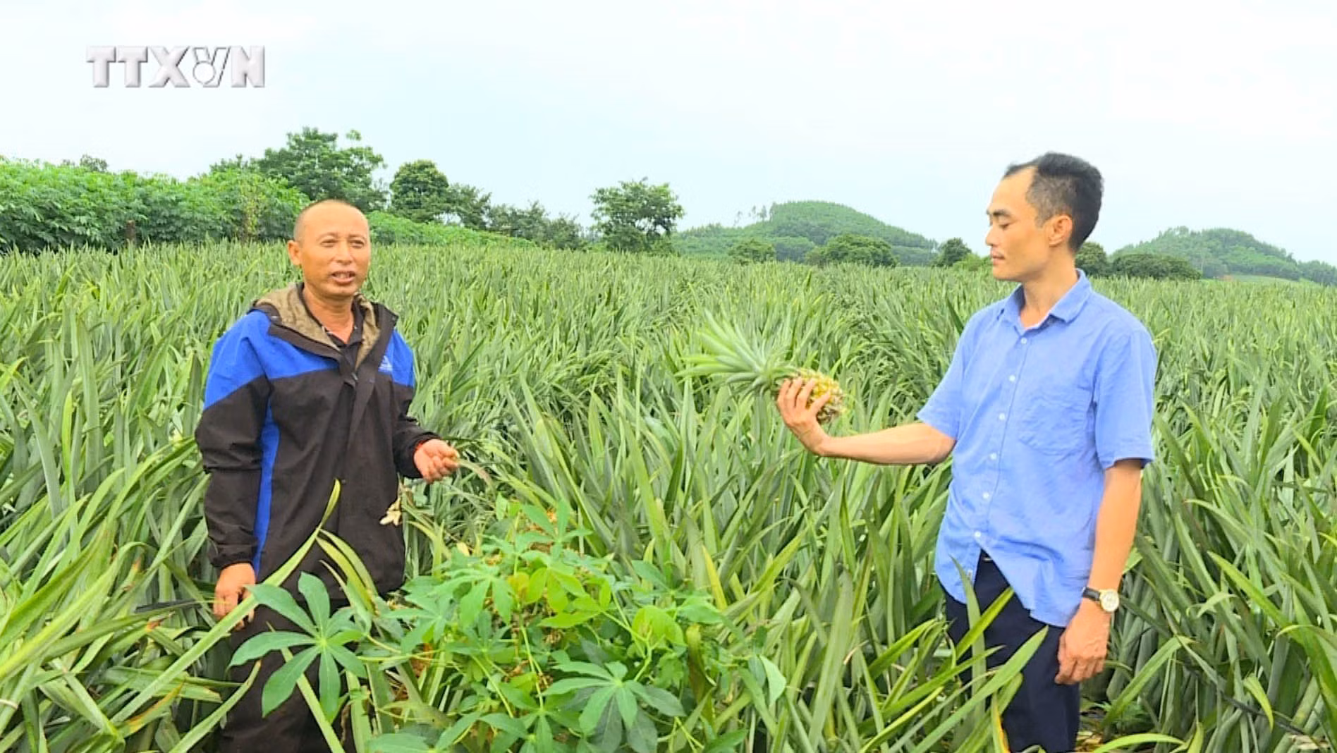 vna_potal_chuong_trinh_muc_tieu_quoc_gia_xay_dung_nong_thon_moi_doi_thay_huyen_vung_nui_nho_quan__7703368.jpg