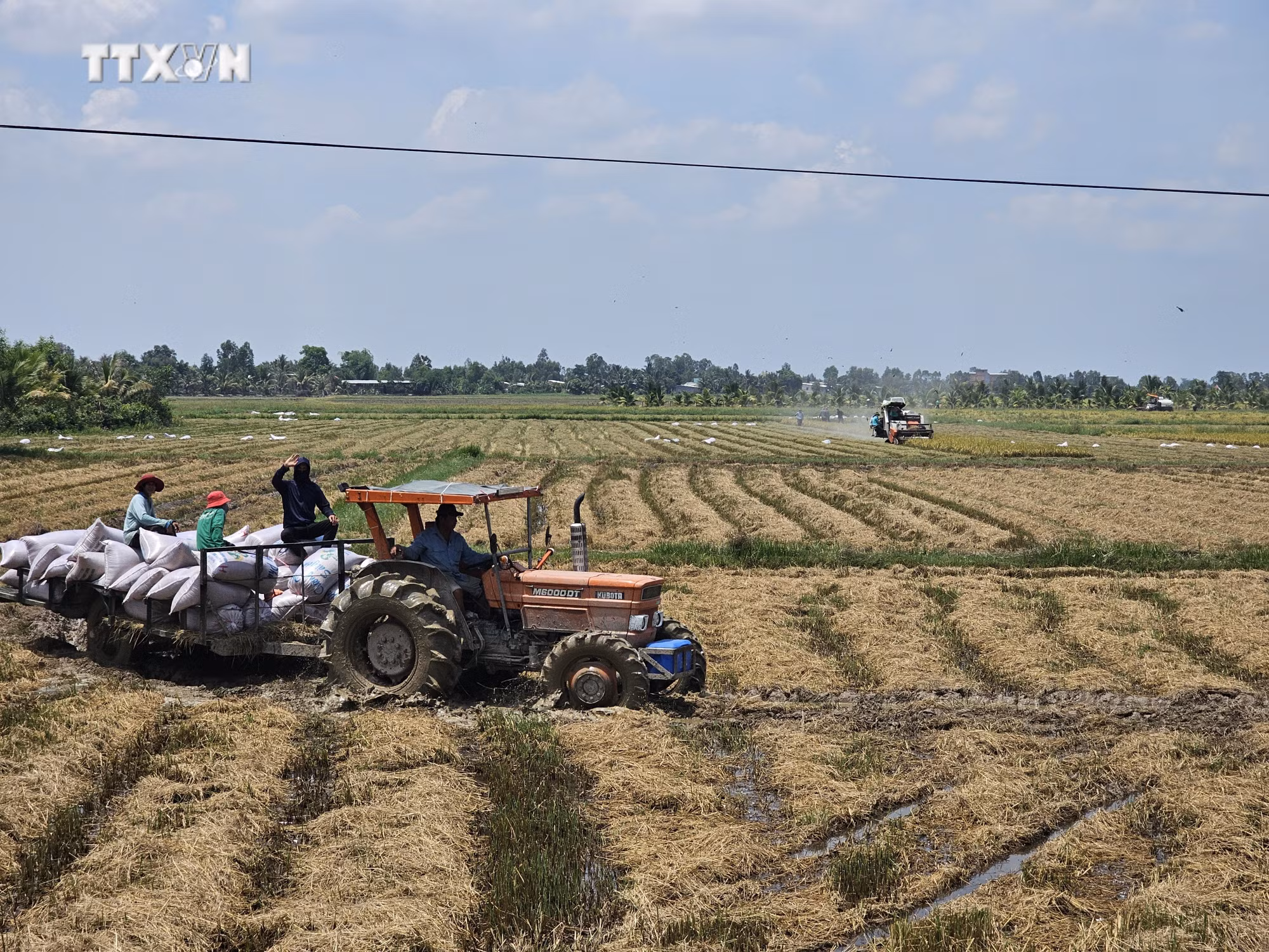 vna_potal_dong_thap_muoi_-_gan_50_nam_sau_ngay_mien_nam_giai_phong_7408187.jpg