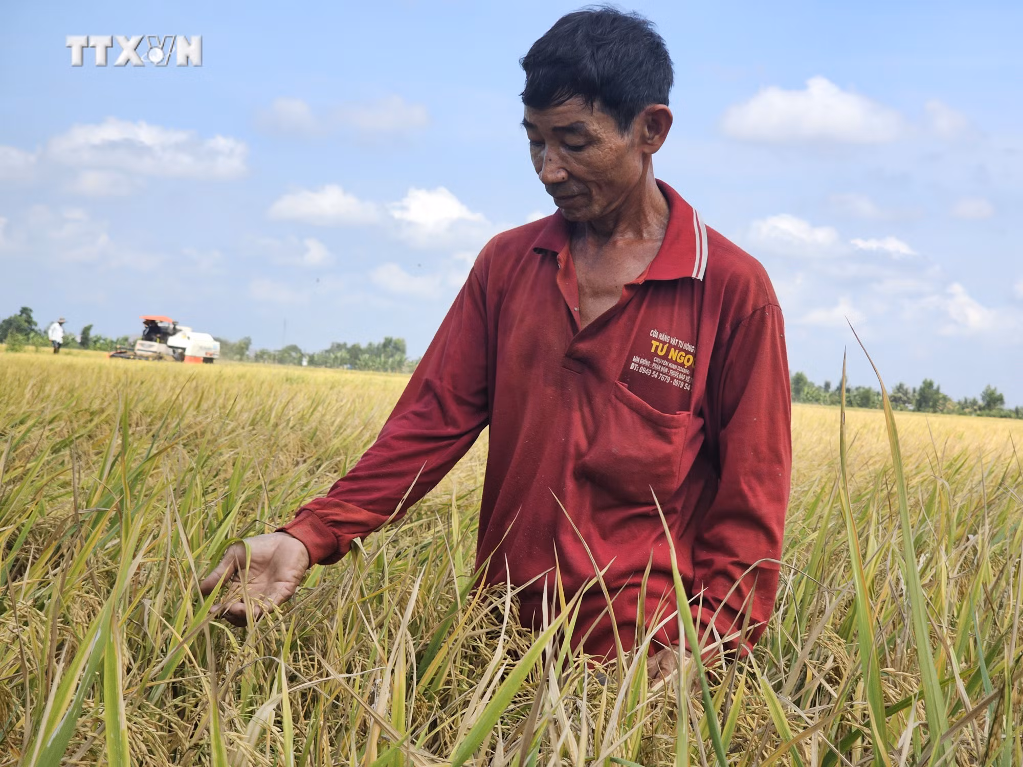 vna_potal_dong_thap_muoi_-_gan_50_nam_sau_ngay_mien_nam_giai_phong_7408185.jpg