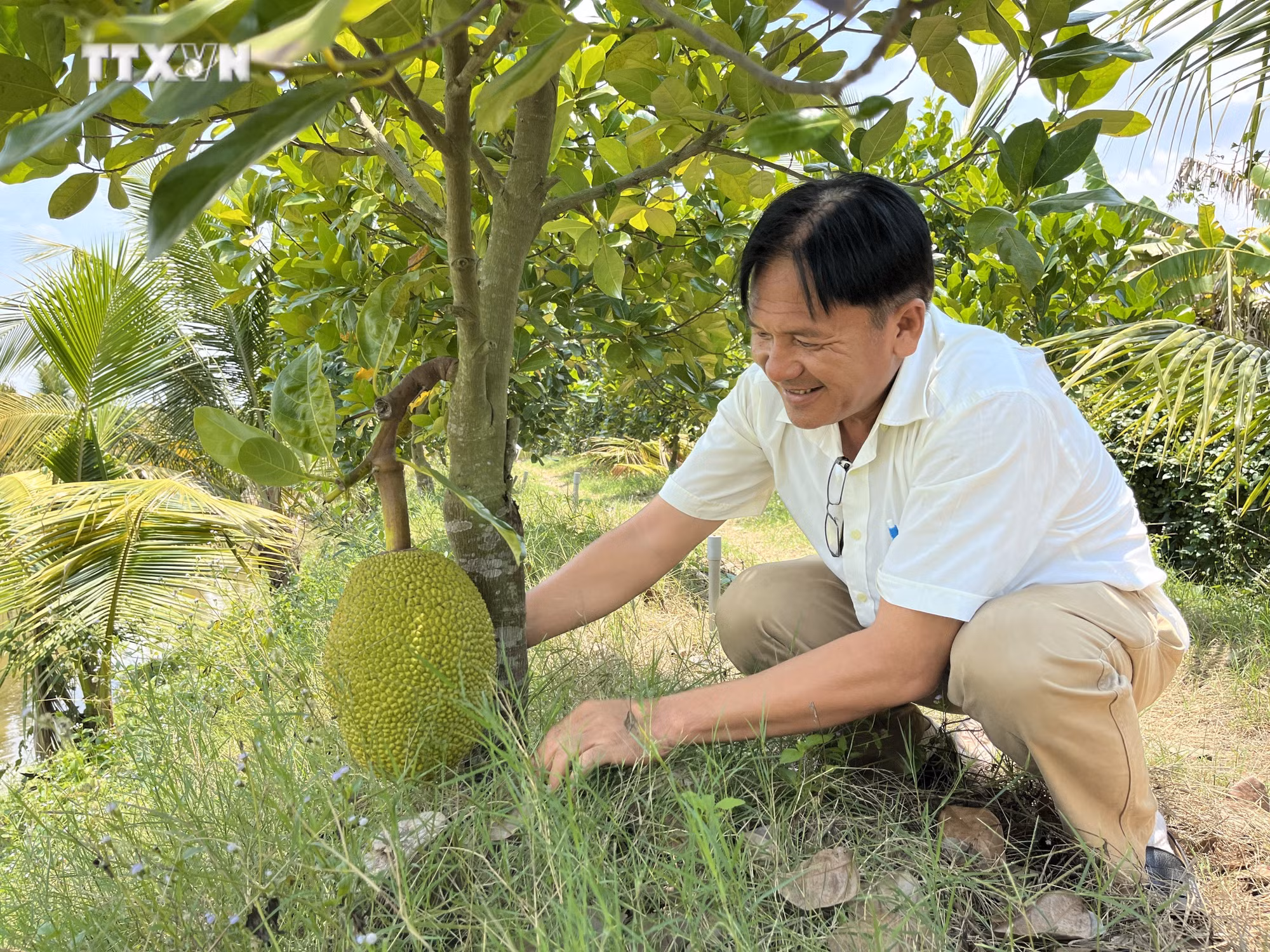 vna_potal_dong_thap_muoi_-_gan_50_nam_sau_ngay_mien_nam_giai_phong_7408164.jpg