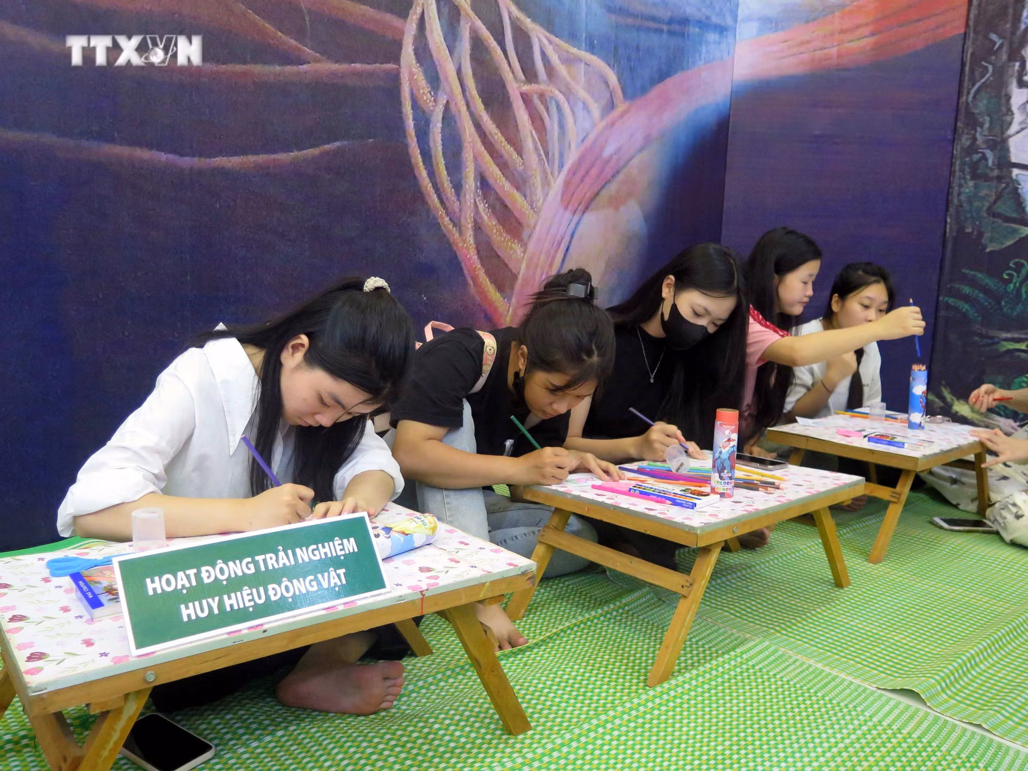vna_potal_bao_tang_van_hoa_cac_dan_toc_viet_nam_to_chuc_nhieu_hoat_dong_dip_quoc_khanh_29_________________________________7565542.jpg