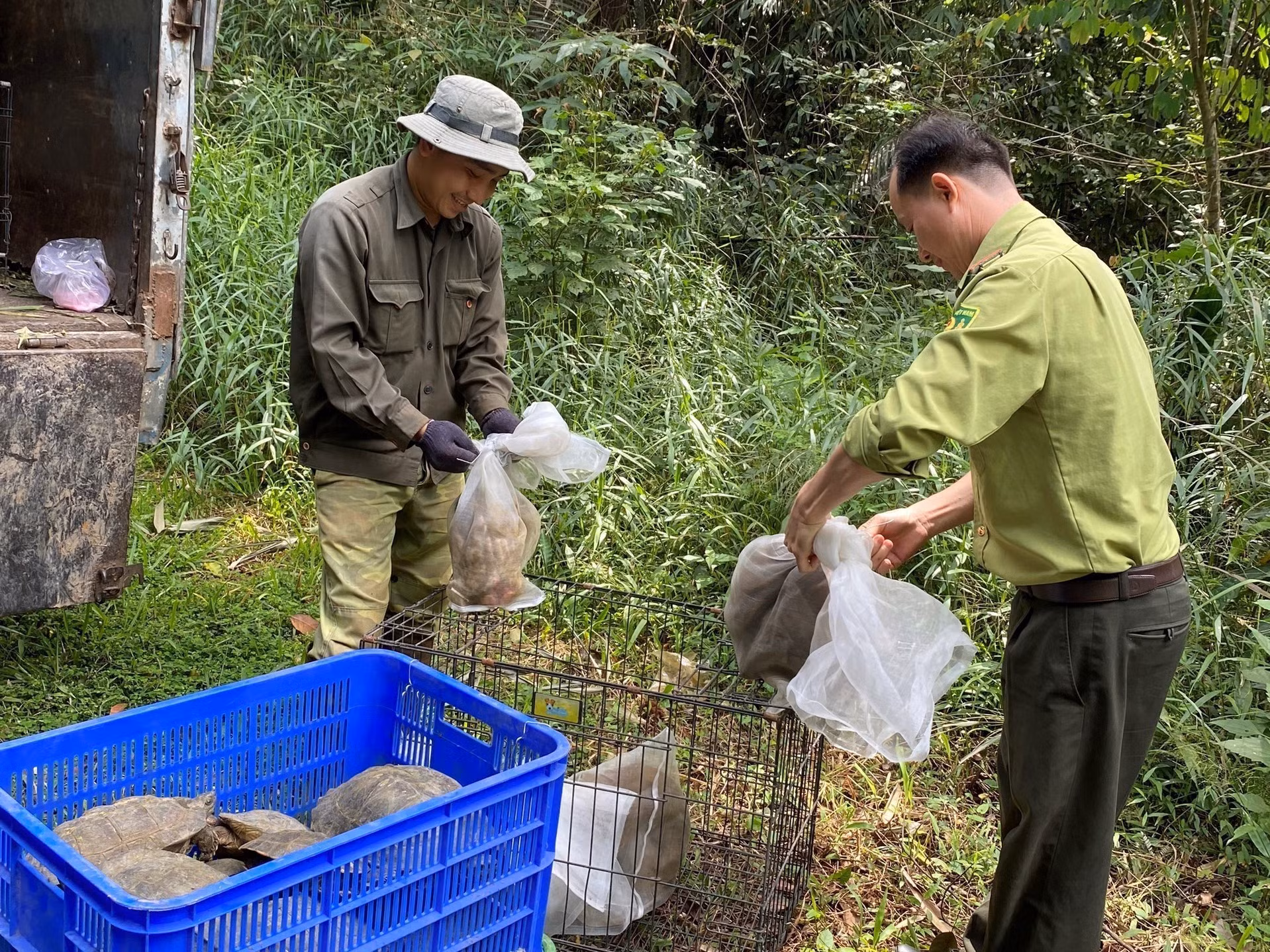 Thả thú hoang về rừng tự nhiên thuộc Vườn quốc gia Bù Gia Mập. Ảnh: TTXVN phát