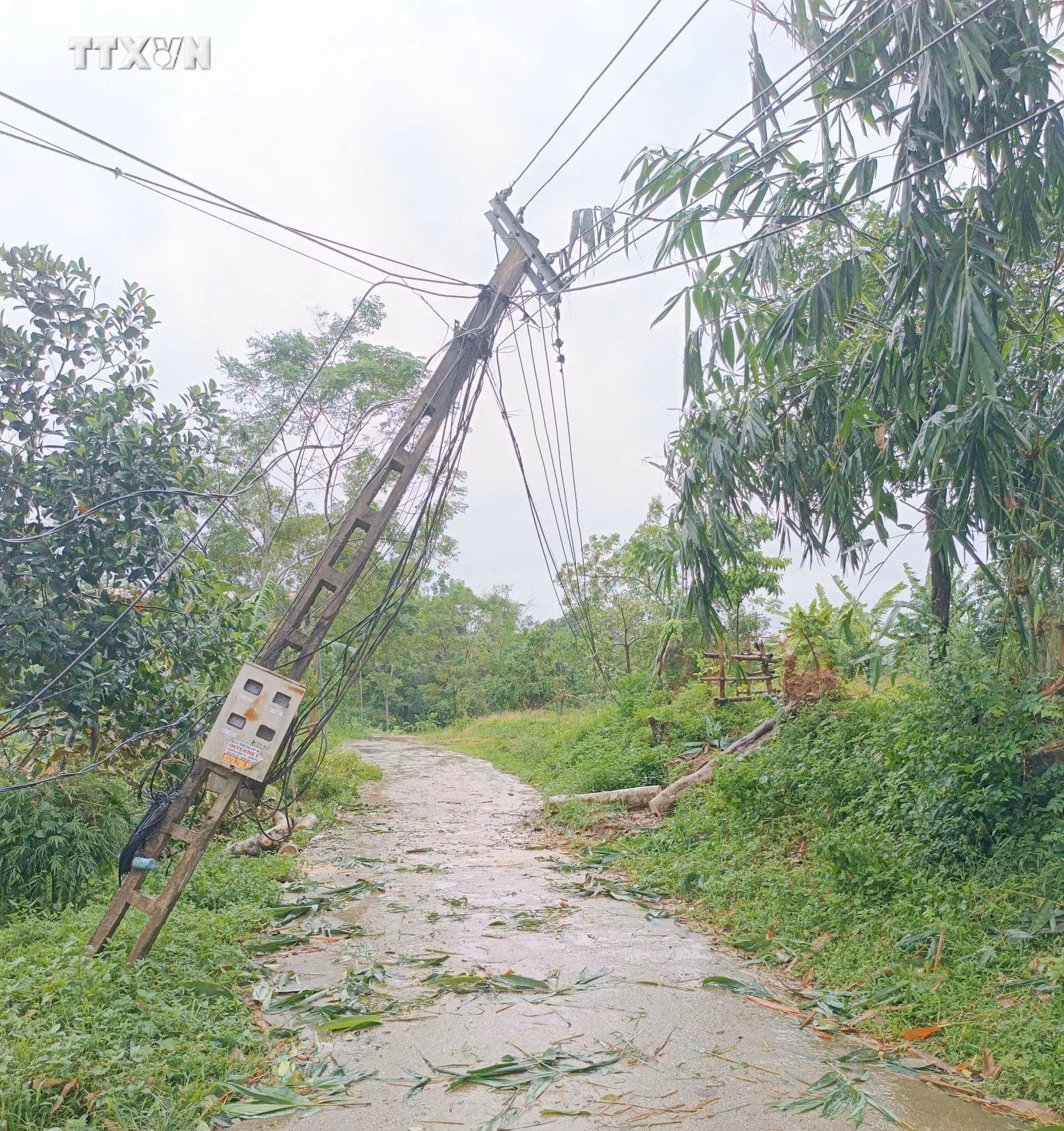 vna_potal_tuyen_quang_khan_truong_khac_phuc_su_co_ve_dien_do_bao_so_3_gay_ra_7580760.jpg
