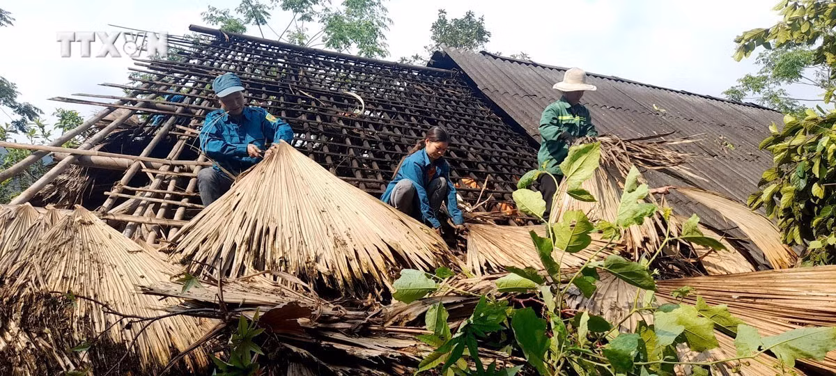vna_potal_ha_giang_tap_trung_khac_phuc_hau_qua_gio_loc_7330968.jpg