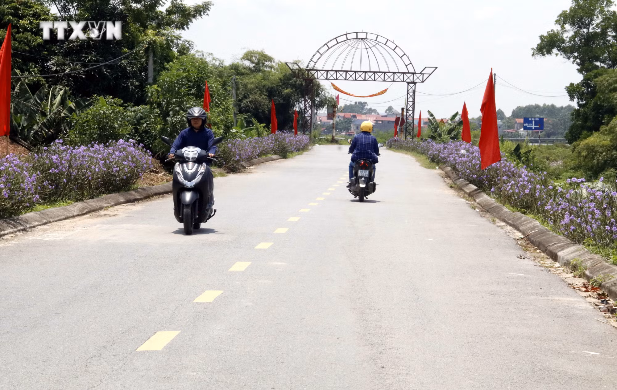 vna_potal_bac_giang_doi_thay_tren_vung_que_an_toan_khu_xuan_cam_7547217.jpg