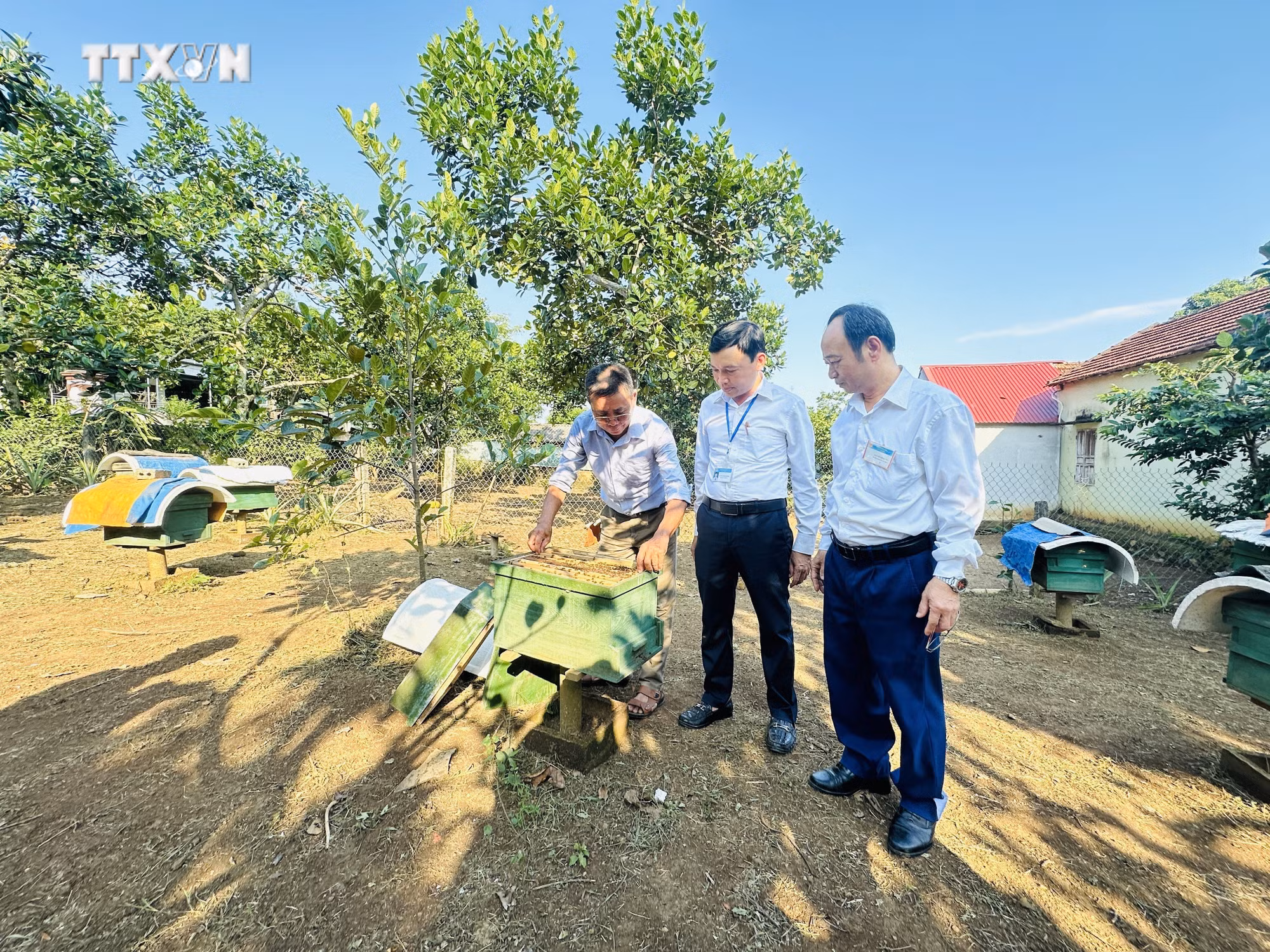 vna_potal_nghe_an_da_dang_hoa_sinh_ke_phat_trien_mo_hinh_giam_ngheo__7691127.jpg