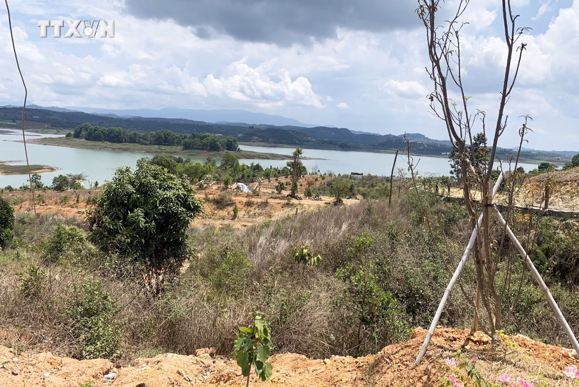 vna_potal_ngang_nhien_lan_chiem_mua_ban_dat_cong_tai_ho_thuy_dien_dai_ninh_lam_dong_7511180.jpg
