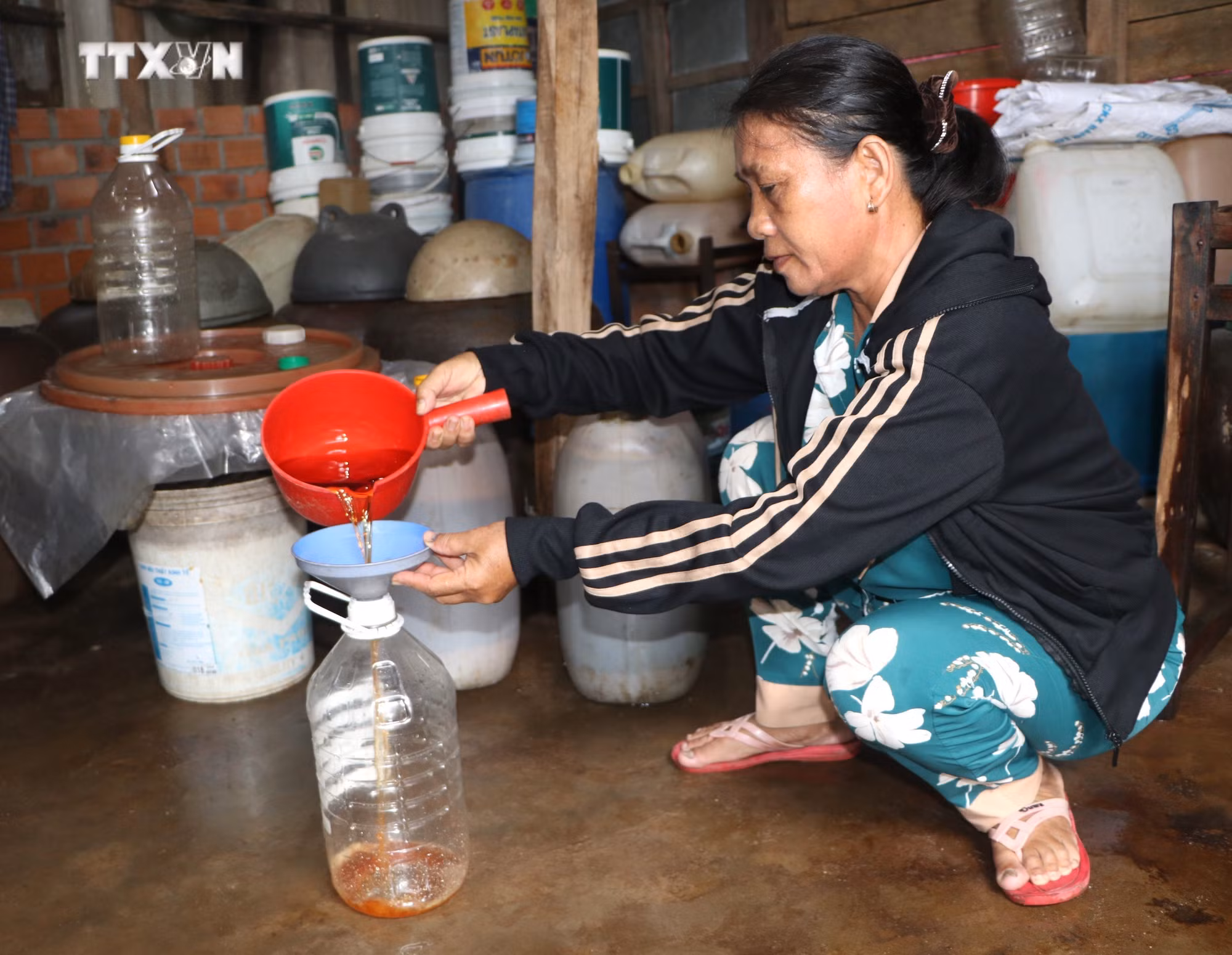vna_potal_quang_ngai_phat_trien_mo_hinh_kinh_te_tuan_hoan_trong_nong_nghiep_7626799.jpg
