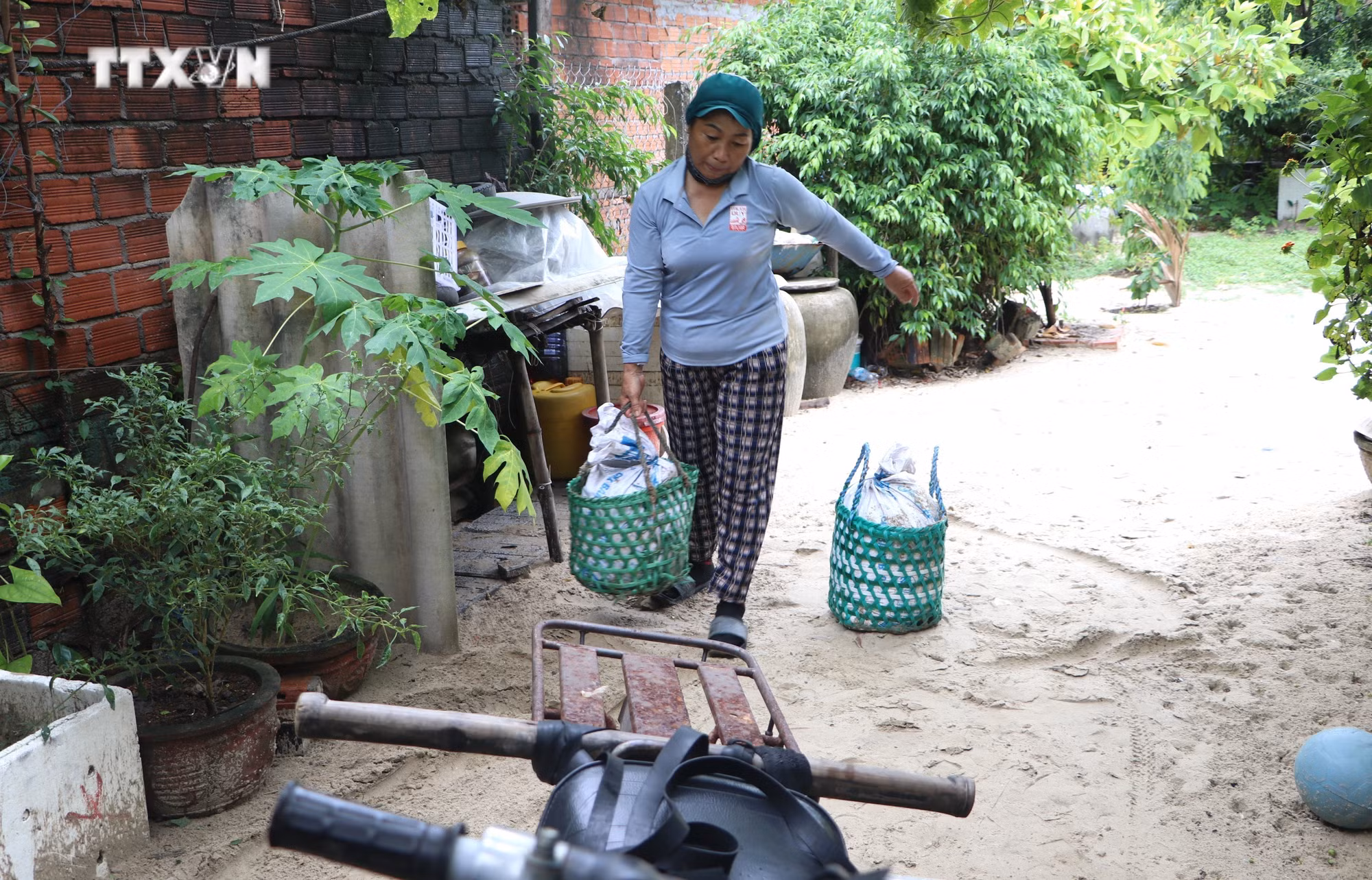 vna_potal_quang_ngai_phat_trien_mo_hinh_kinh_te_tuan_hoan_trong_nong_nghiep_7626800.jpg