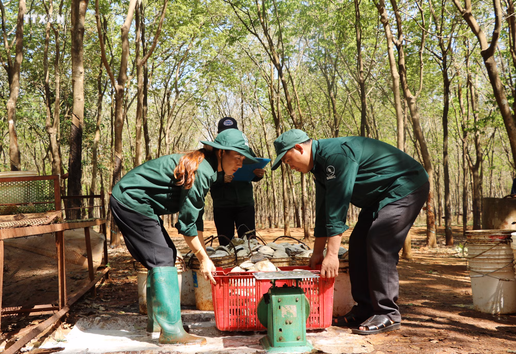 vna_potal_dam_bao_doi_song_nguoi_lao_dong_la_dan_toc_thieu_so_nhap_cu_7210500.jpg