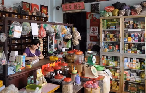 Thành phố Hồ Chí Minh phát triển phố Đông y thành điểm đến hấp dẫn khách du lịch