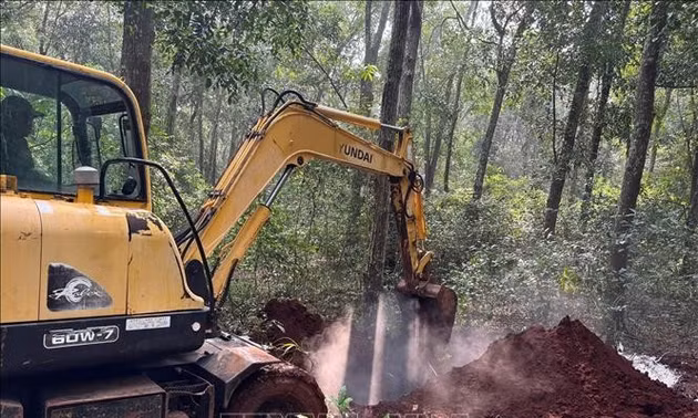 Khoanh vùng xử lý ổ dịch tả lợn châu Phi tại xã Xuân Sơn