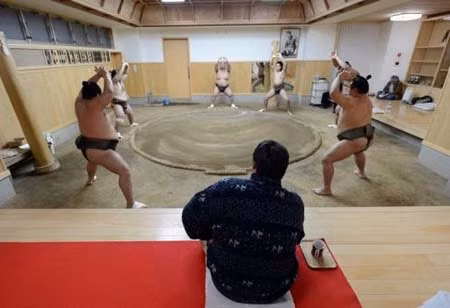 Võ sĩ sumo trăn trở với nghề ảnh 1