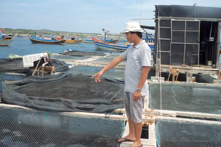 Mùa xuân trên đảo Phú Quý ảnh 2