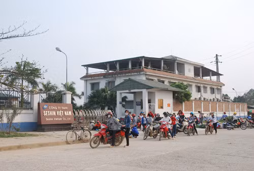 Lao động và việc làm sau Tết - Bài 3: Tích cực tìm việc ảnh 1