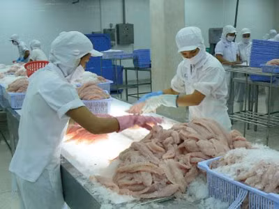 Phản đối cách tính của Mỹ về thuế cá tra ảnh 1