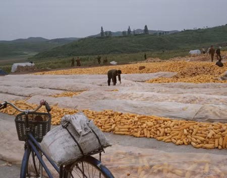 Muôn mặt cuộc sống thường nhật tại Triều Tiên ảnh 10