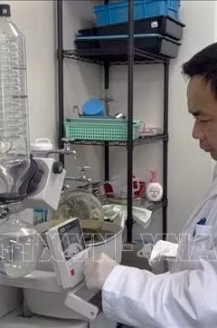 Dấu ấn khoa học của Giáo sư Trần Đăng Xuân hướng về Việt Nam