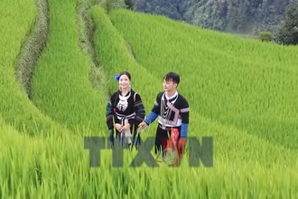 Lào Cai biến sắc màu văn hóa thành nguồn lực du lịch