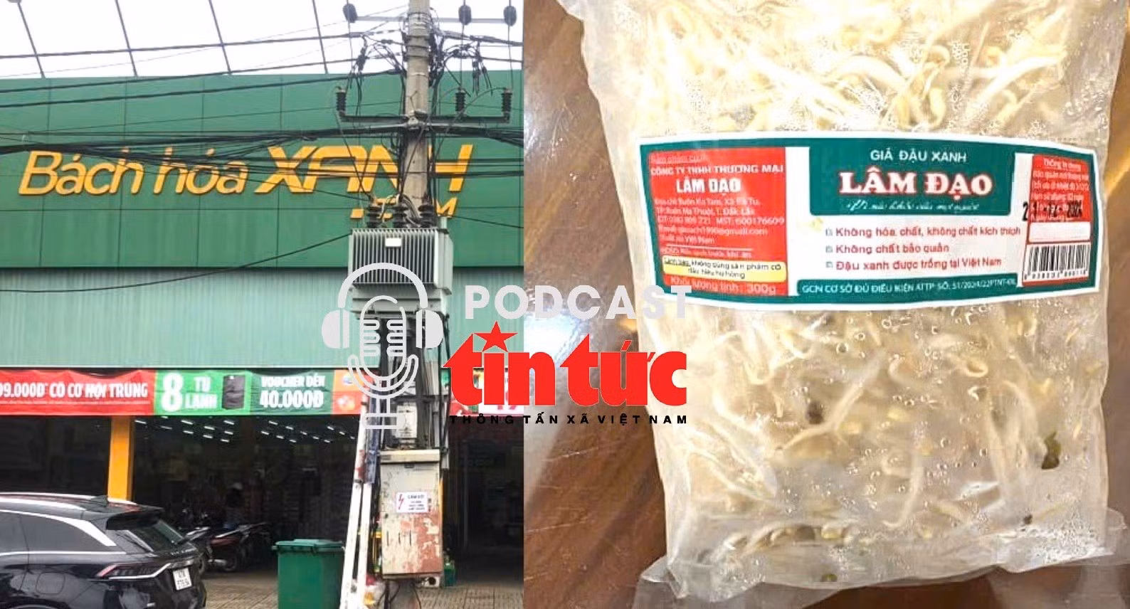 ‘Giải mã cùng luật sư’: Hàng nghìn tấn giá đỗ ngâm chất độc hại được tiêu thụ, ai là người chịu trách nhiệm? 