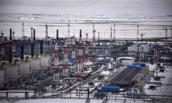 Bloomberg: Nga sẽ giảm mạnh xuất khẩu dầu diesel