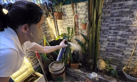 Xác định các điểm nguy cơ, phòng chống sốt xuất huyết trong mùa mưa