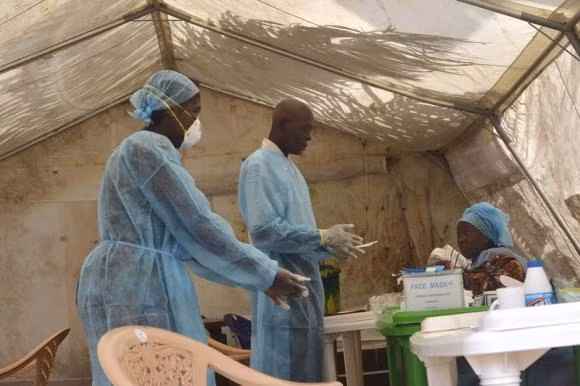 Nguy cơ lây nhiễm Ebola từ động vật ảnh 1