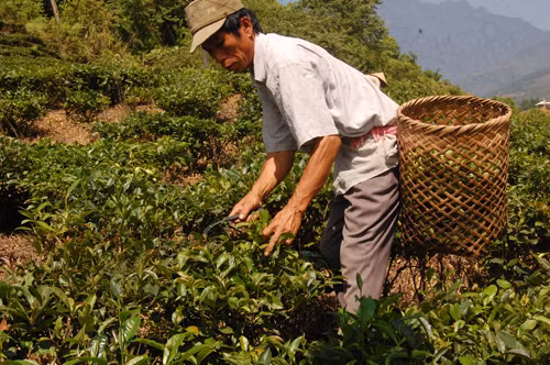 Bảo đảm đất ở, đất sản xuất cho đồng bào ảnh 3