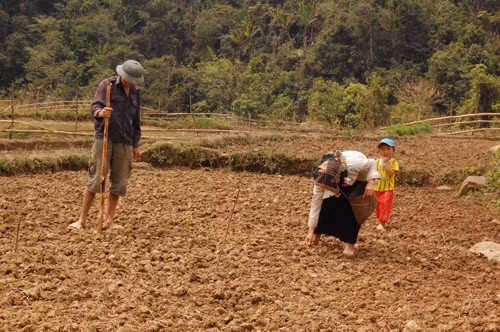 Bảo đảm đất ở, đất sản xuất cho đồng bào ảnh 1