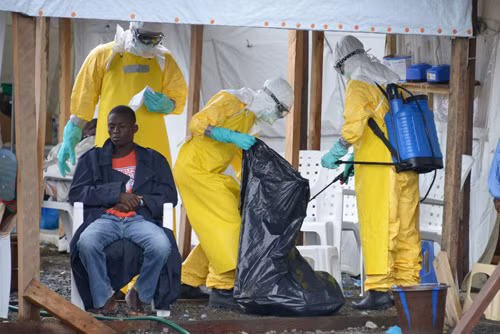 Liên minh châu Phi họp khẩn đối phó dịch Ebola ảnh 1