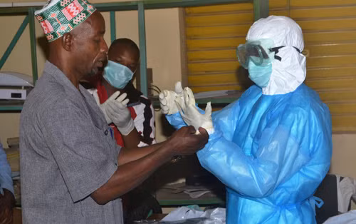 Thụy Điển phát hiện trường hợp nghi nhiễm virus Ebola ảnh 1