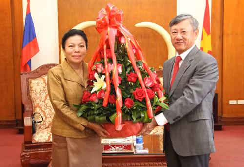 Lào chúc mừng Quốc khánh lần thứ 69 của Việt Nam ảnh 1