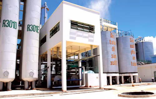 Nhà máy cồn Ethanol gây ô nhiễm, dân 'lĩnh' hậu quả ảnh 1