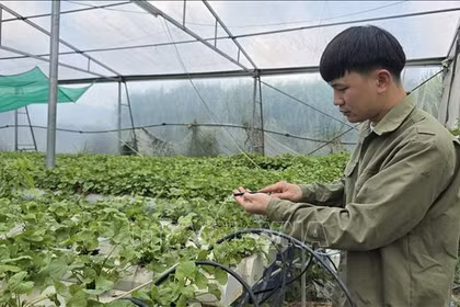 Nông dân tự tin chuẩn hóa thương hiệu cho nông sản