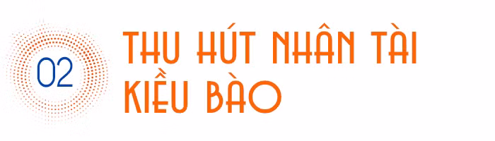 Kiều bào với khát vọng xây dựng đất nước ảnh 6