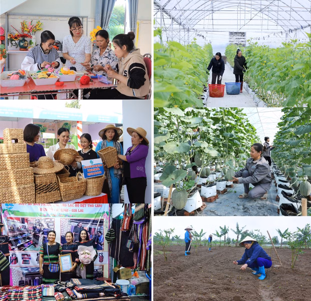 Hỗ trợ khởi nghiệp, tạo sinh kế lâu dài cho phụ nữ là những biện pháp hữu hiệu để chị em không bị “mắc bẫy” lừa đảo, nhất là lừa đảo trên không gian mạng.