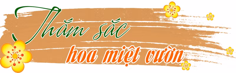 Du Xuân trên đất 'chín Rồng' ảnh 4