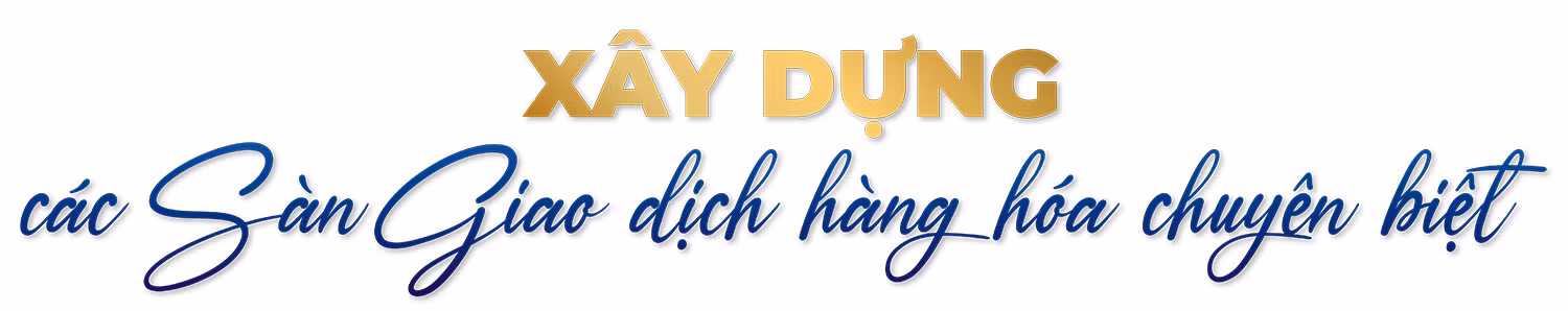 Thị trường giao dịch hàng hóa tại Việt Nam: 14 năm chuyển mình mạnh mẽ ảnh 12
