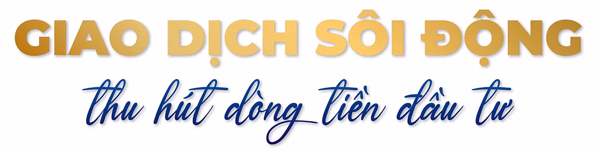 Thị trường giao dịch hàng hóa tại Việt Nam: 14 năm chuyển mình mạnh mẽ ảnh 1