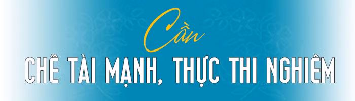 Thúc đẩy bình đẳng giới bền vững ảnh 11