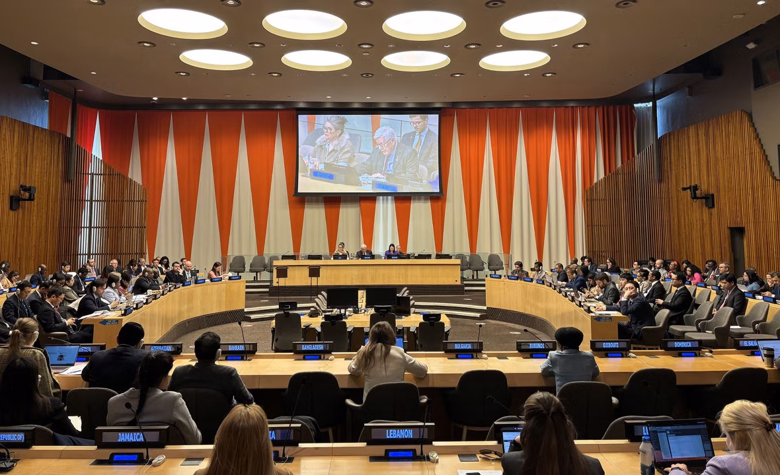 Ngày 9/4/2024, Hội đồng Kinh tế Xã hội Liên hợp quốc (ECOSOC) đã bầu Việt Nam vào Hội đồng Chấp hành Cơ quan Liên hợp quốc về Bình đẳng giới và Trao quyền cho phụ nữ (UN Women) nhiệm kỳ 2025 - 2027.