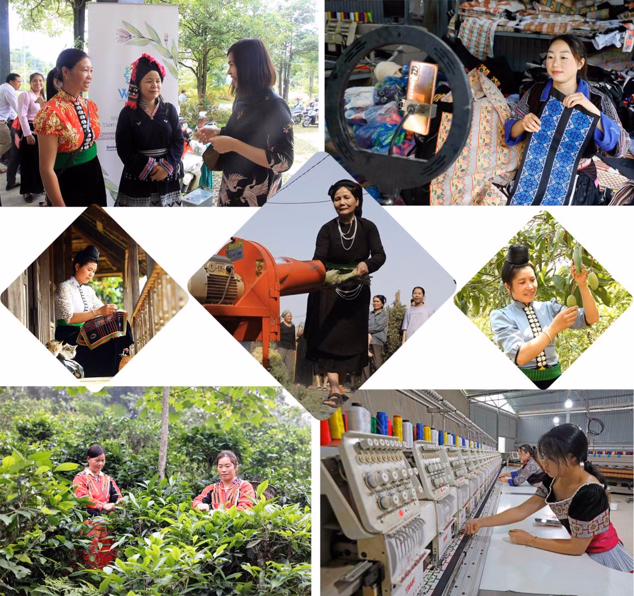 Hỗ trợ phát triển sinh kế, giúp phụ nữ phát triển kinh tế sẽ góp phần thúc đẩy bình đẳng giới.
