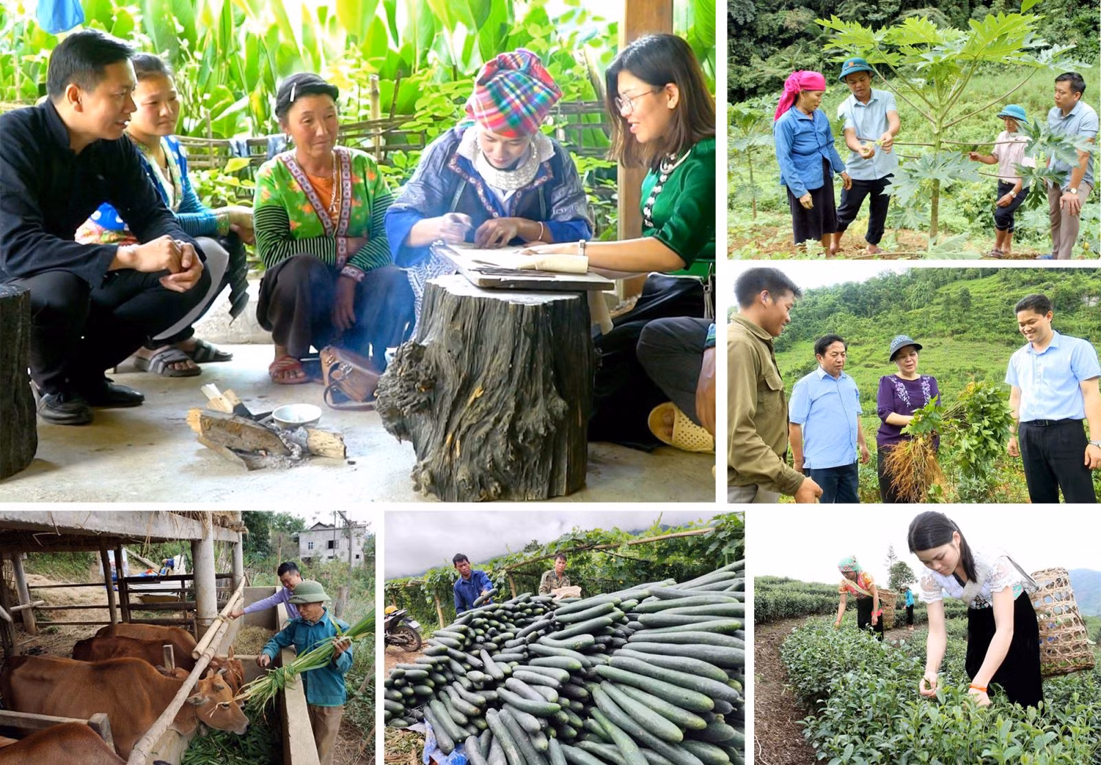 Việc thực hiện Chương trình mục tiêu quốc gia giảm nghèo bền vững đã mang lại diện mạo mới cho các vùng nông thôn, nhất là vùng sâu, vùng xa, vùng đặc biệt khó khăn ở Lai Châu.