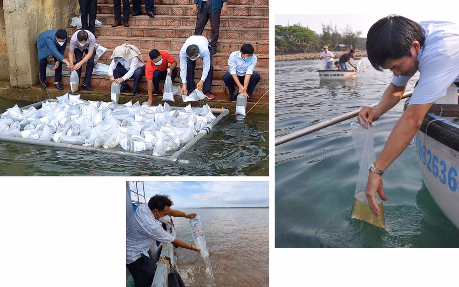 Nước rút gỡ 'thẻ vàng' IUU ảnh 12