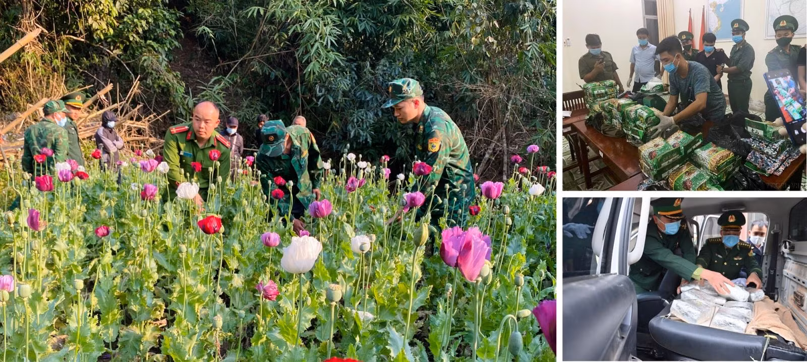 Bộ đội Biên phòng đã triệt phá được nhiều đường dây buôn bán ma túy và địa điểm trồng cây thuốc phiện.